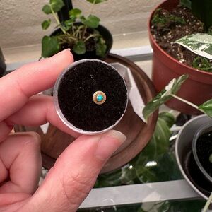 14k Bodyartform threadless end w turquoise
